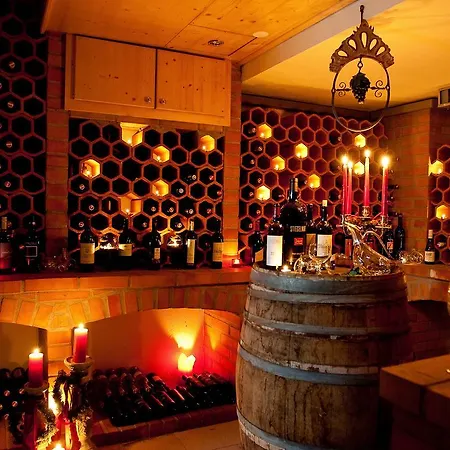 Hotel Astoria Garden - Thermenhotels Gastein 4*