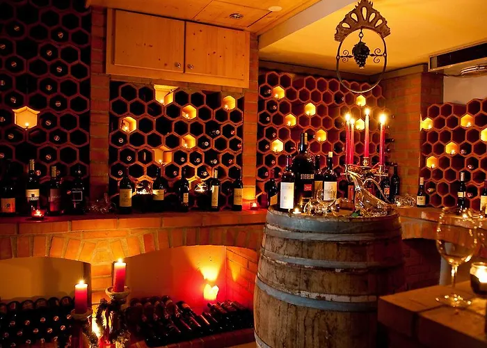 酒店 Astoria Garden - Thermenhotels Gastein 4*